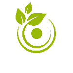 صفحه اصلی 19 brand 5